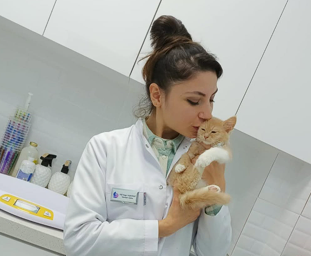 VetSim veteriner kliniği İzmir - profesyonel hayvan bakım merkezi