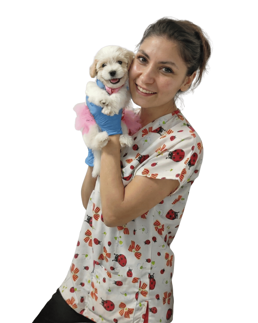 İzmir Karşıyaka veteriner hizmeti - VetSim 7/24 acil veteriner - veteriner hekim Elif Simge Taşköprü - kedi köpek tedavi