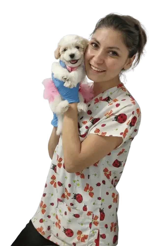 İzmir Karşıyaka veteriner hizmeti - VetSim 7/24 acil veteriner - veteriner hekim Elif Simge Taşköprü - kedi köpek tedavi