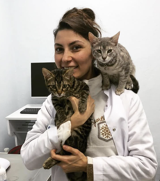 Karşıyaka veteriner kliniği VetSim - 7/24 acil hizmet - kedi köpek bakımı İzmir