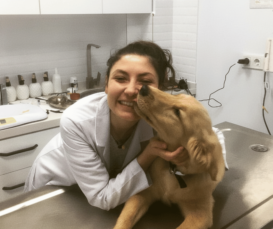 VetSim modern veteriner kliniği - İzmir Karşıyaka acil veteriner hizmeti - hayvan bakımı