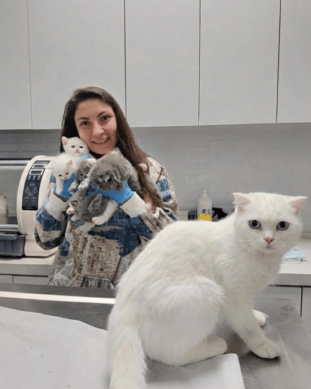 Karşıyaka VetSim veteriner kliniği - modern tıbbi ekipman - İzmir 7/24 acil veteriner hizmeti