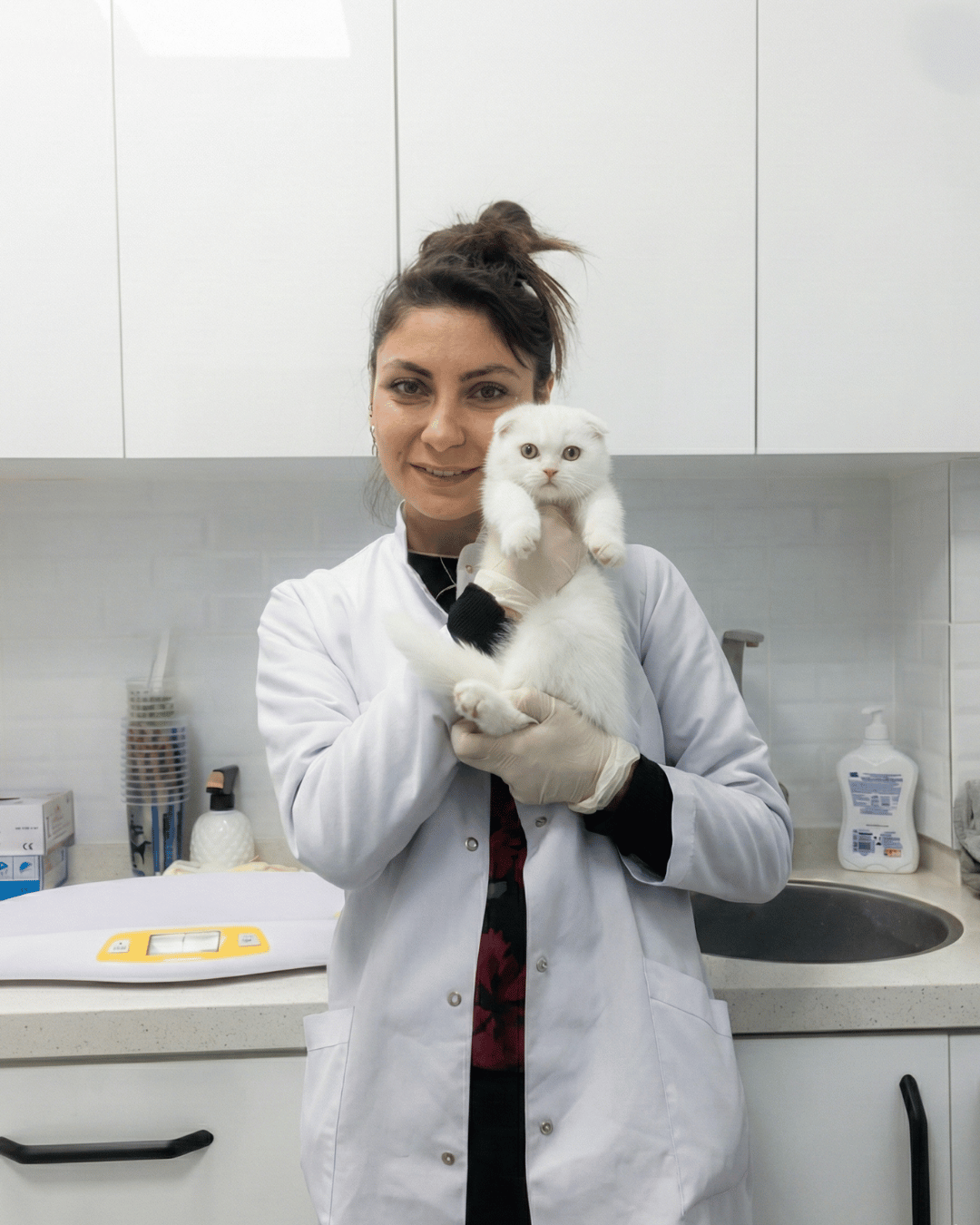 İzmir VetSim veteriner kliniği - acil müdahale ve tedavi hizmetleri