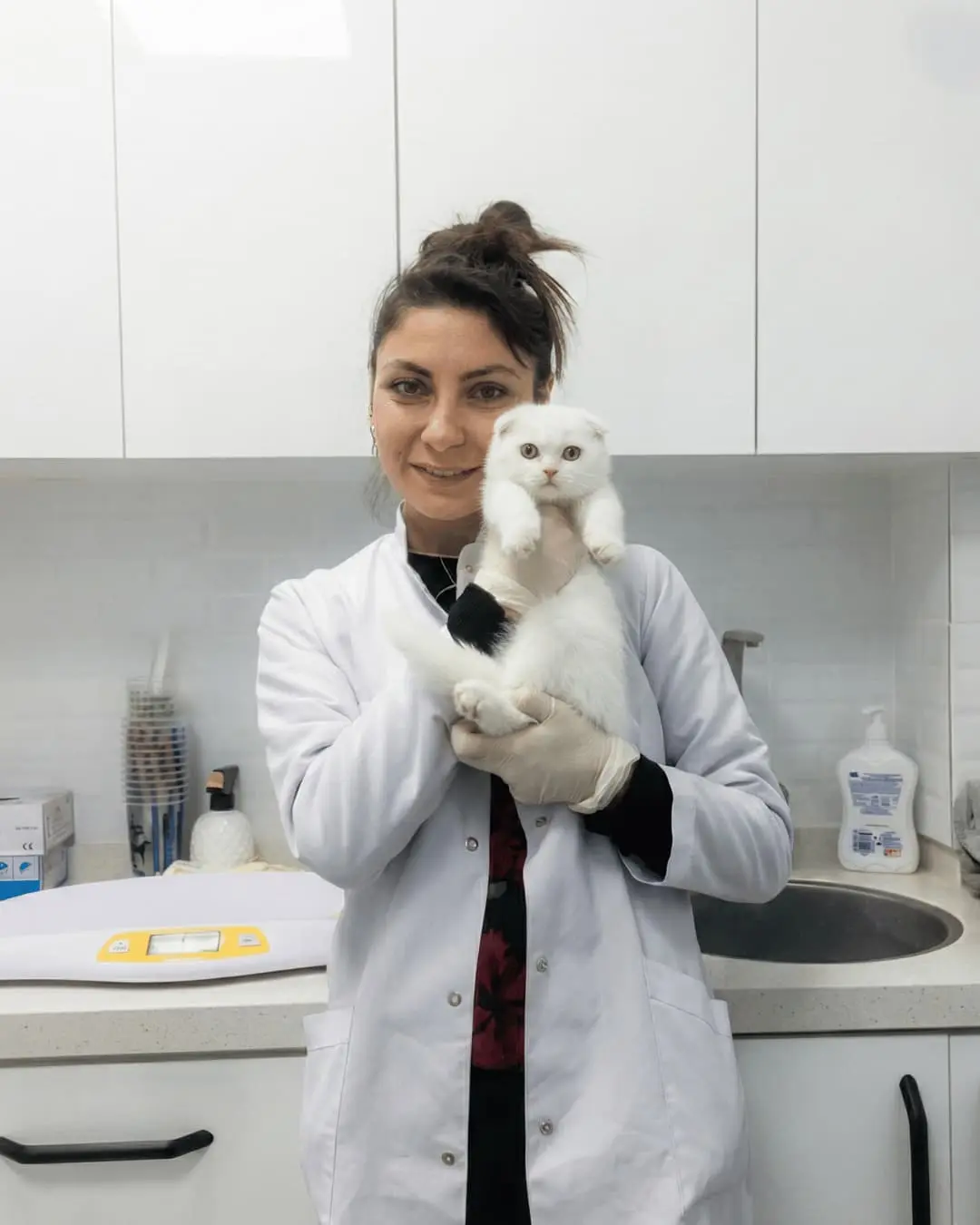 Karşıyaka veteriner cerrahi operasyon - İzmir VetSim 7/24 acil veteriner - veteriner hekim Elif Simge